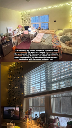 This is the bedroom, there is also a closet behind where I'm standing in this picture. - Bedroom/Living Room in Presidential II Apartment (newer area) Lease Takeover from Fall 2026