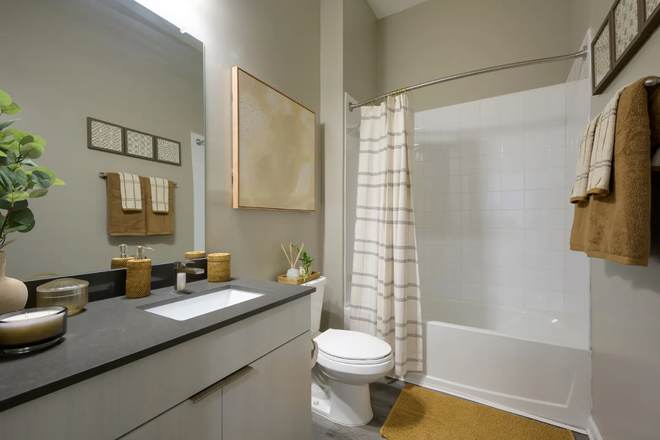 Bathroom - Looking for a Roommate at The Met Gainesville! Flexible Leasing Available