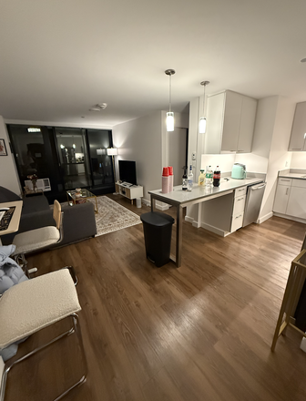 Kitchen and Living Room - Soldiers Field Park SFP Apartment 1Bed 1 Bath! Free WiFi and Gym