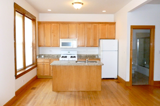 kitchen 01 - 728 South Laflin St, Apt #1M | 3 Bed 2 Bath | Sublease or Rent
