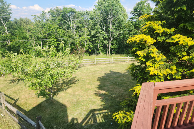 Fenced back yard - 5/3.5 BR house, large fenced yard, 2 miles from campus