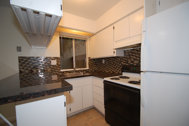 Kitchen - Spacious Summer Single on Addison