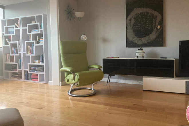 Living room with Bo Concept Danish furniture, hardwood maple floors throughout entire unit - Steps from Mass General. Super contemporary luxury furnished apartment in concierge building