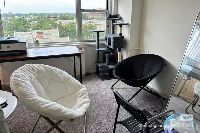 living Room - Carlyle Apartment