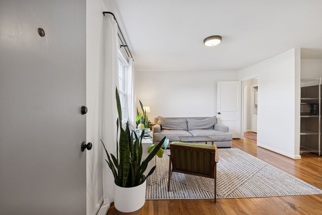 Living Room - 2 Bed 1 Bath in West Park