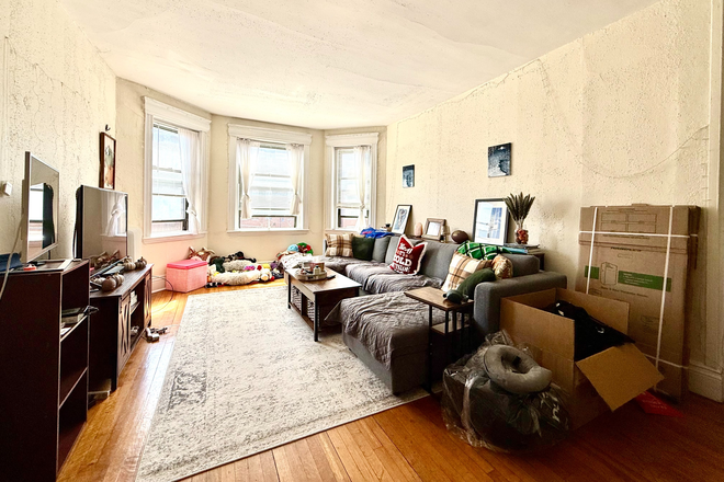 living room - Sunny Cleveland Circle 2 bed for 8/1 - NO FEE, 1/2 MONTH FREE! Apartments