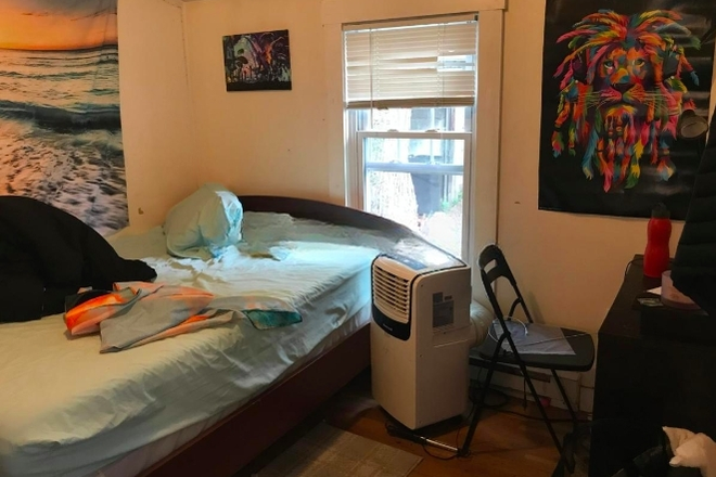- - Right Close to Campus! 4 bed w/ Laundry & Parking