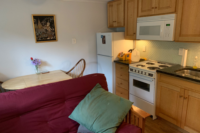 Kitchen, living & dining area - Furnished 1BR apt-Grover Ave-Princeton