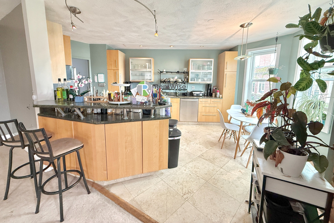 Kitchen - AVAIL 9/1! Sunny 2B2B in Brighton, Heat/Hot Water included. Closed to BC/MBTA/Bus Routes. NO Condo