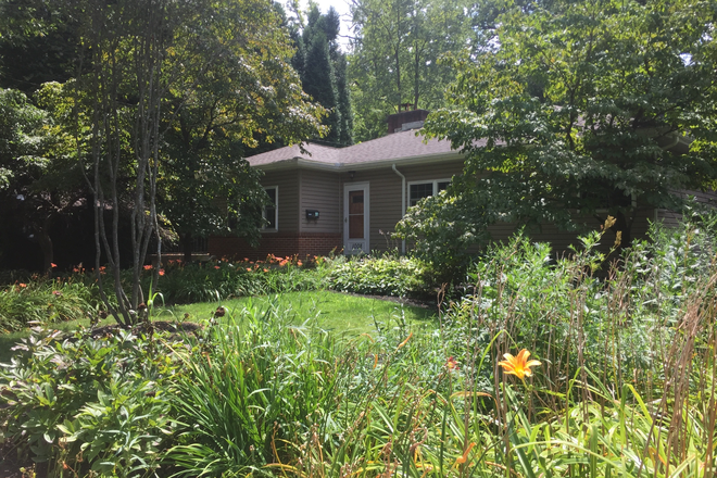 Outside street view - DELIGHTFUL GARDEN-LEVEL ROOM NEAR CAMPUS WITH OWN ENTRANCE, BATH, KITCHEN ACCESS, LAUNDRY & PARKING