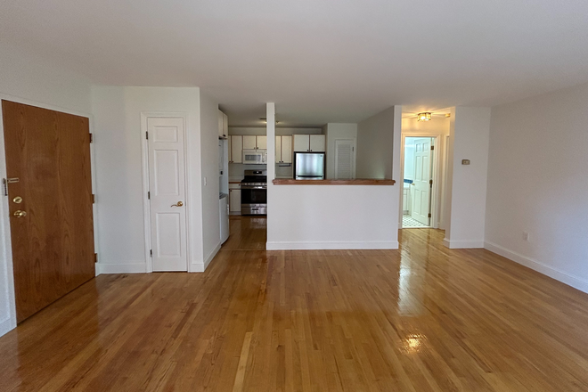 Living Room/Kitchen - One Bedroom Apartment Available in the Heart of Harvard Square