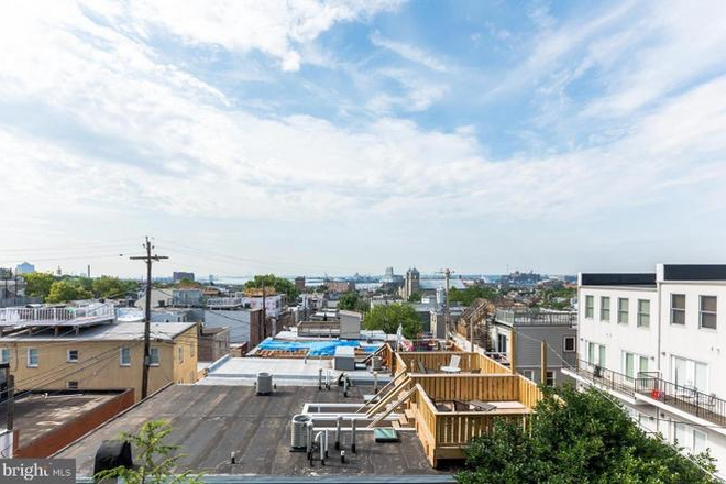 Rooftop Deck - 3 Rooms Available in 5 bd/5.5 bath Rowhome: 2 on 8/1 and 1 on 10/1