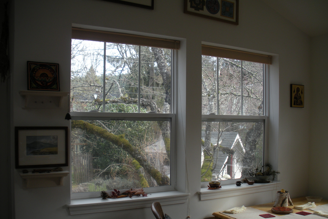 living room view - Light-filled and Cozy One Bedroom ADU Near Prince Pucklers Ice Cream Apartments