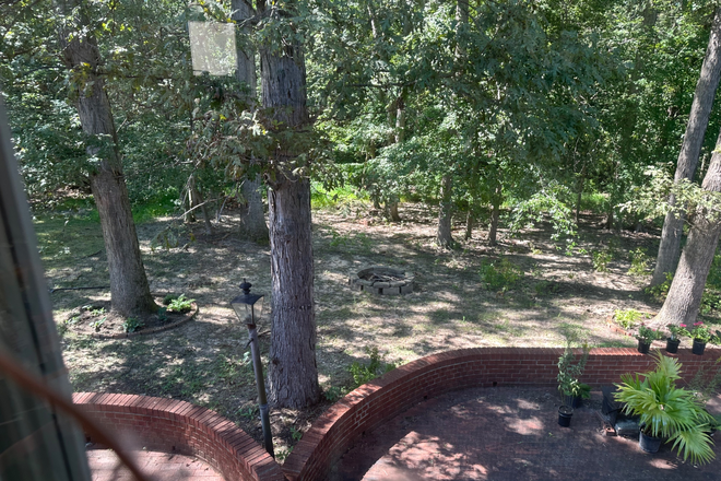 Trees in the back - College Park Woods Room Available