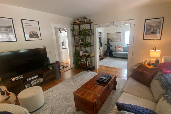 Living room - Clean, open and sunny one bedroom apartment