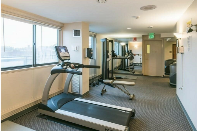 Fitness center in the rooftop - NO BROKER'S FEE! MODERN APT! LUXURY ELEVATOR BUILDING WITH ROOFDECK, FITNESS AND SAUNA!