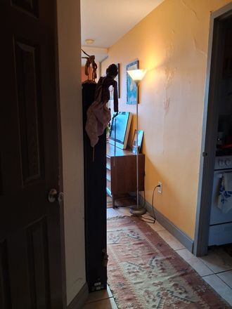 Entrance walkway, bedroom door on the left, kitchen on the right. - Furnished or unfurnished jr. 1 bedroom apartment, metro+laundry+pool+gym
