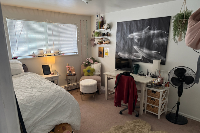 Bedroom 1 - Apartment close to campus and basically on Pearl.