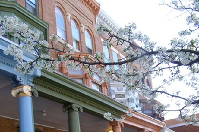 Front of house - Sunny Apt. 1 BR/lg studio, 1 ba, tall ceilings, wood floors
