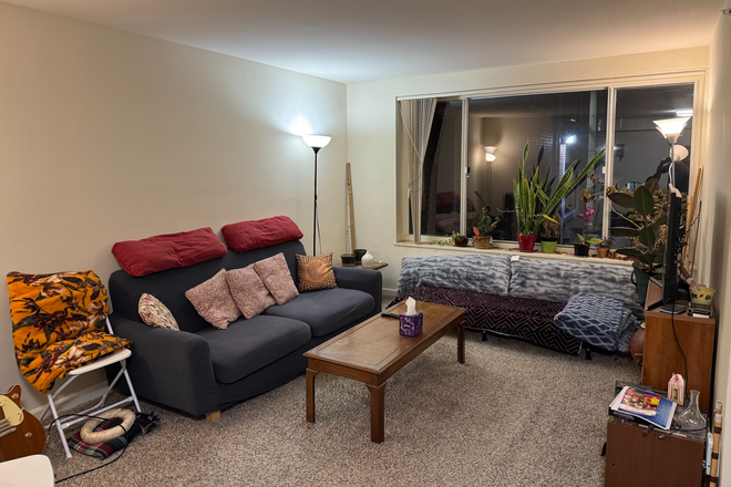 Living room - Clean Private Room in Graduate Hills