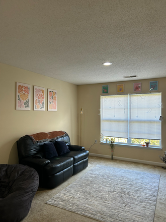 Living room - Mountaineer Village Sublease