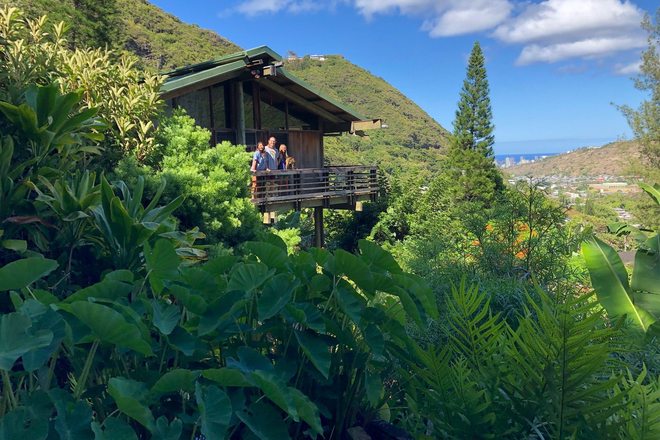 Main house - Great household – welcome visitors friends house guests kids – bananas mangoes taro luau – Palolo