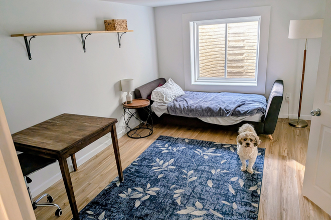 Basement bedroom - Basement bedroom plus small living area