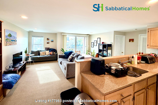 Main Living Area - Lovely 2B 2B sublease near Harvard main campus, Porter Square