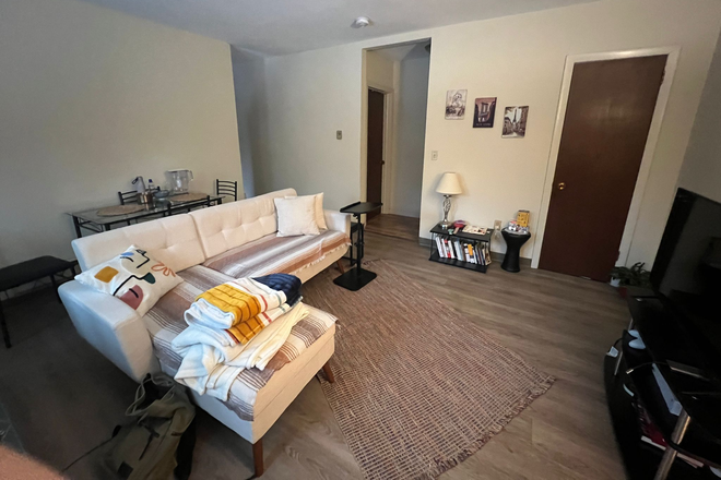 living room - Spacious 1-bedrom apt, summer sublet