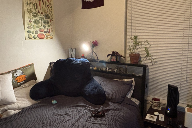 Bedroom Available for Sublease (w/ Bed) - 2026 Summer Sublease Available at 231 Janie Lane