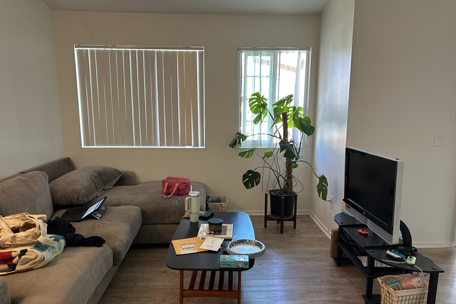 Living room - Madison Newport