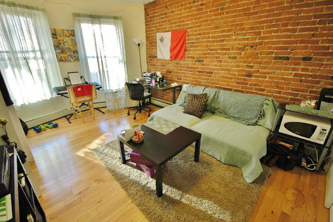 Livingroom - Frant facing One Bedroom in Symphony Rd Walk to Campus 1/1/2026