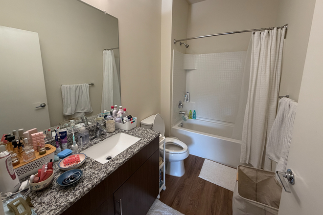 Bathroom - TERRAPIN ROW! Available January - July 2027 Apartments