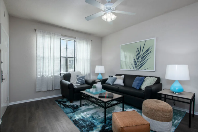 Living Room - Sublease Available Near USF — The Ivy Apartments Tampa