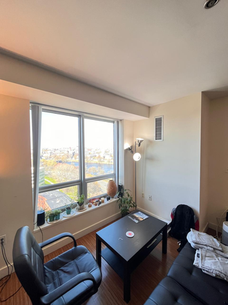 Living room - 1 Bedroom in shared One Western Ave unit - High floor Apartments