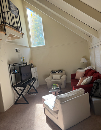 Living room- high ceilings and lots of natural light - Spring 2026 Puffton Village Sublet