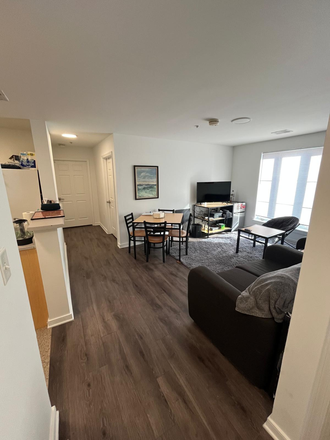 Living Room - Sublease – South Campus Commons 3 (Spring & Summer 2026) Apartments