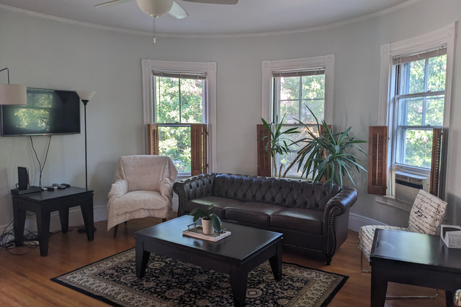 Livingroom - Harvard Sq - condo - 2 bd + office, 1.5 bath, parking - Fully Furnished