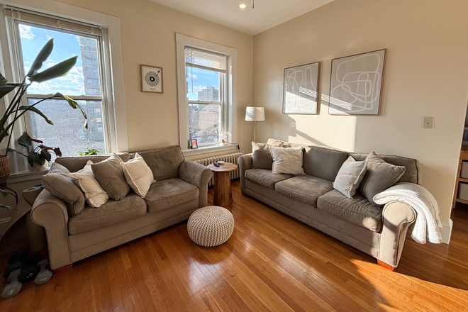 living room - Sunny top floor 1 bed + office in Brookline - no fee! For May 1 Apartments