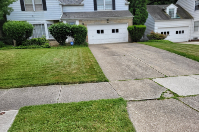 4 bedroom, 1.5 bath colonial - 4 bedroom Home close to University Circle