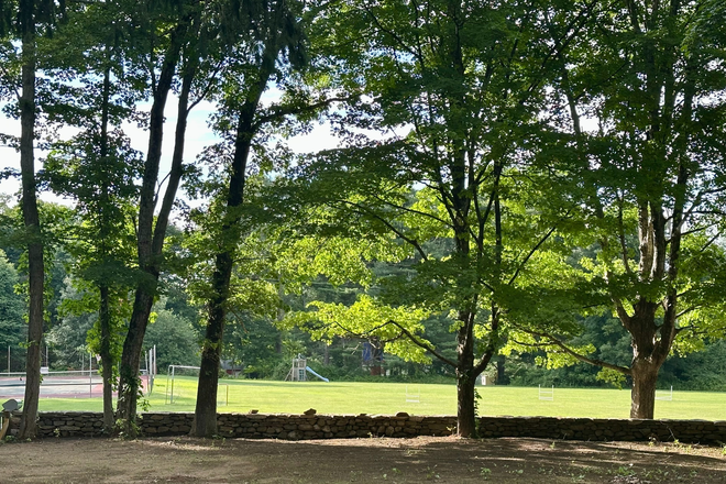 View from front of house to the neighborhood open space - Single family house in beautiful residential neighborhood walkable to campus and downtown