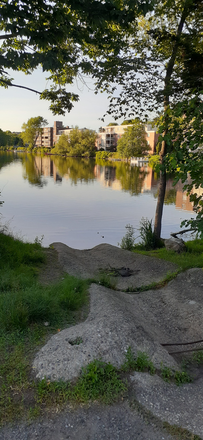 Steps to Pond View - All-Inclusive & Commuter's Dream: All Utilities Included! Walk to T, Parking, & Scenic View