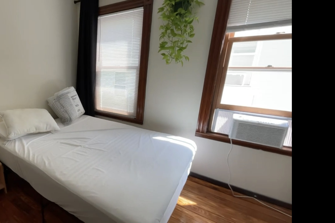 bedroom - Spacious and cozy 2b/1b, walkable/bikeable to MIT (with a cat!)