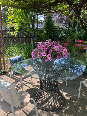 Private backyard garden - Large furnished bedrooms for rent on Main floor of Quiet house in Little Italy