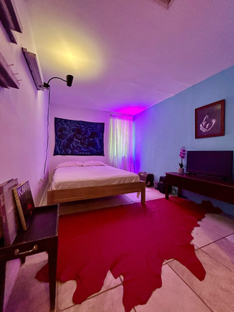 Bedroom - Little Haiti Shared Apartment