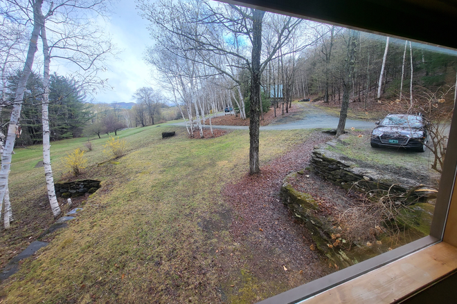 Front yard and driveway. - Recent VLS Grad looking for roommate to share house.