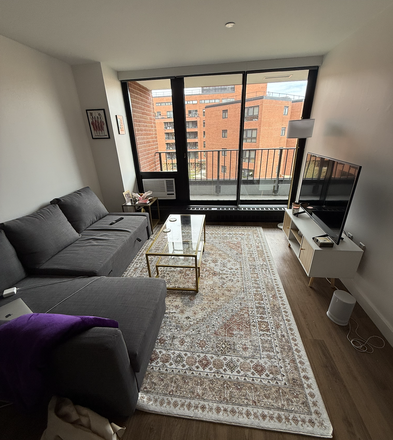 Living Room - Soldiers Field Park SFP Apartment 1Bed 1 Bath! Free WiFi and Gym