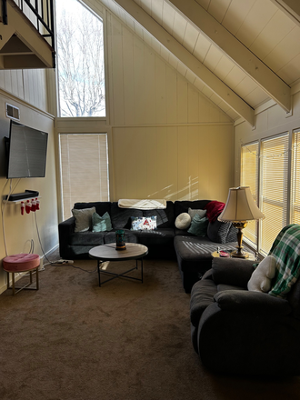 Living room - Puffton Village Spring Sublet OR Lease Transfer