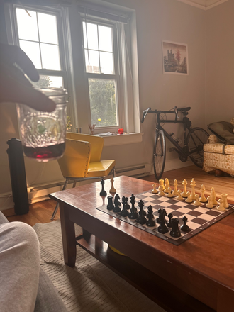 Living room - 1 Bed 1 Bath Cretin Apartment