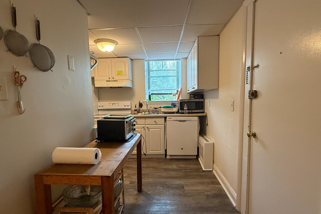 kitchen - Affordable Coolidge Corner 2 bed with updated kitchen - NO FEE, 1 MONTH FREE Apartments